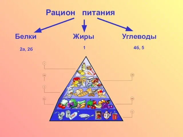 Рацион питания Белки Жиры Углеводы 2а, 2б 1 4б, 5