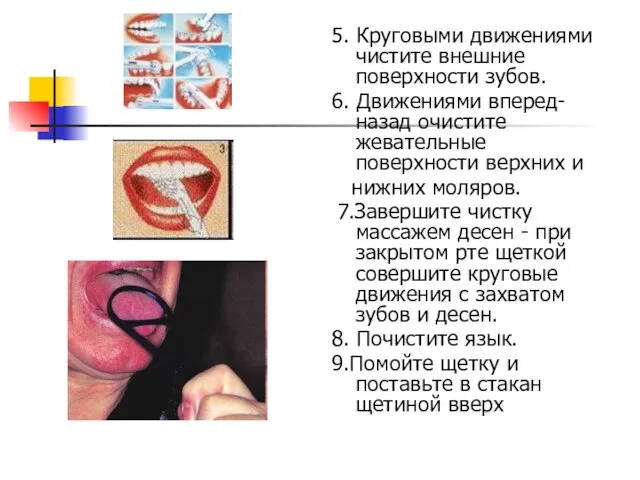 5. Круговыми движениями чистите внешние поверхности зубов. 6. Движениями вперед-назад очистите