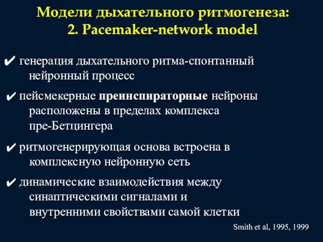 Модели дыхательного ритмогенеза: 2. Pacemaker-network model генерация дыхательного ритма-спонтанный нейронный процесс