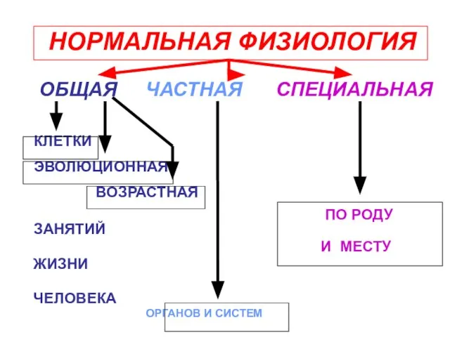 НОРМАЛЬНАЯ ФИЗИОЛОГИЯ ОБЩАЯ ЧАСТНАЯ СПЕЦИАЛЬНАЯ КЛЕТКИ ЭВОЛЮЦИОННАЯ ВОЗРАСТНАЯ ПО РОДУ ЗАНЯТИЙ