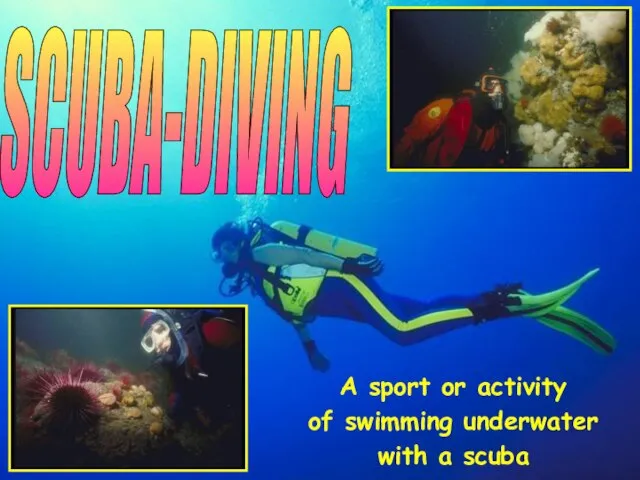 A sport or activity of swimming underwater with a scuba SCUBA-DIVING