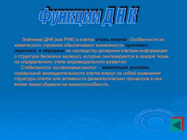 Значение ДНК (как РНК) в клетке очень велико. Особенности их химического