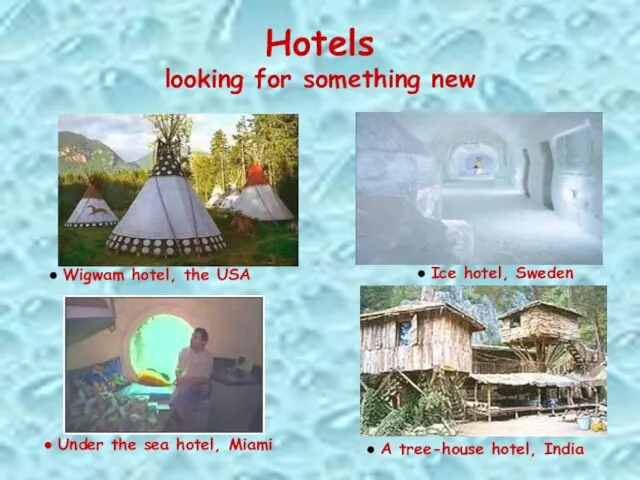 Hotels looking for something new ● A tree-house hotel, India ●