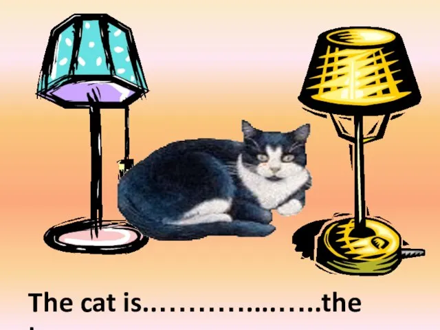 between The cat is..………....…..the lamps.