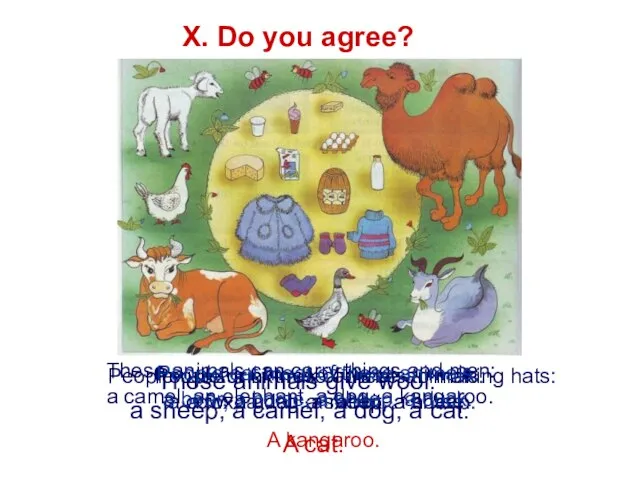 X. Do you agree? These animals give wool: a sheep, a