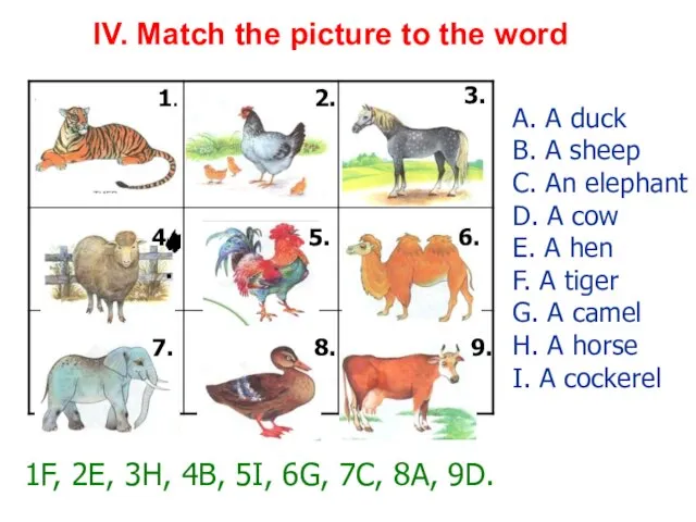 IV. Match the picture to the word 1. 2. 3. 4.