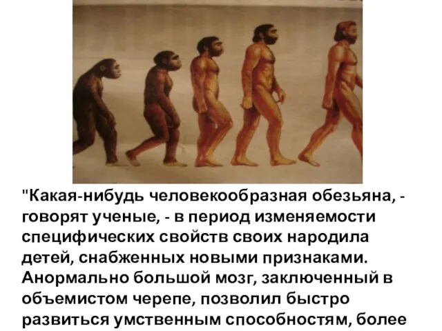 "Какая-нибудь человекообразная обезьяна, - говорят ученые, - в период изменяемости специфических