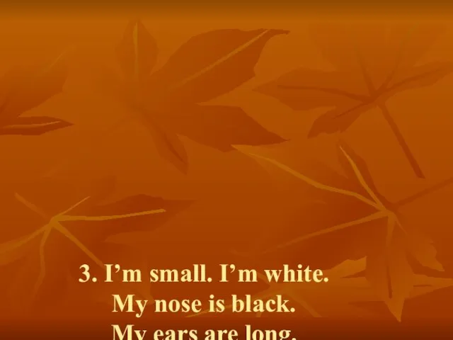 3. I’m small. I’m white. My nose is black. My ears