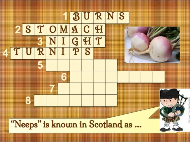 “Neeps” is known in Scotland as … 1 2 3 4