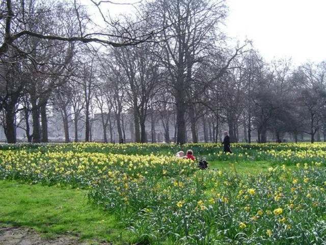 GREEN PARK Green Park (officially The Green Park) is one of