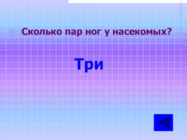 Сколько пар ног у насекомых? Три