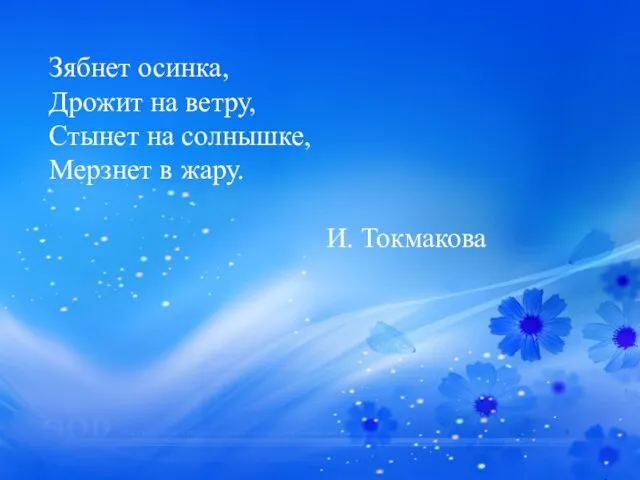 Зябнет осинка, Дрожит на ветру, Стынет на солнышке, Мерзнет в жару. И. Токмакова