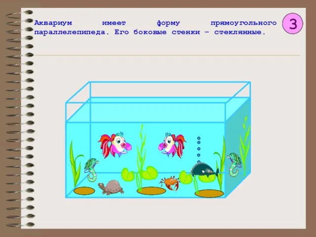 3 Аквариум имеет форму прямоугольного параллелепипеда. Его боковые стенки – стеклянные.