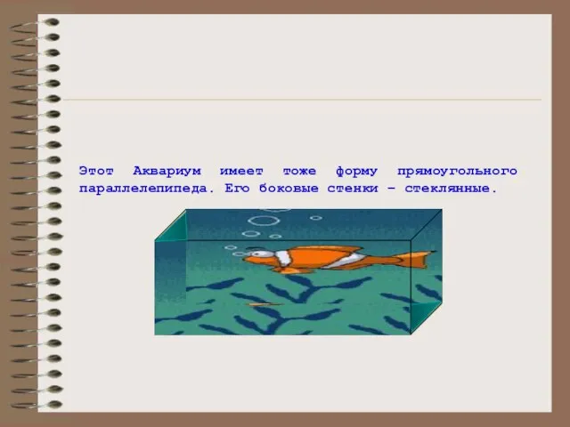 Этот Аквариум имеет тоже форму прямоугольного параллелепипеда. Его боковые стенки – стеклянные.