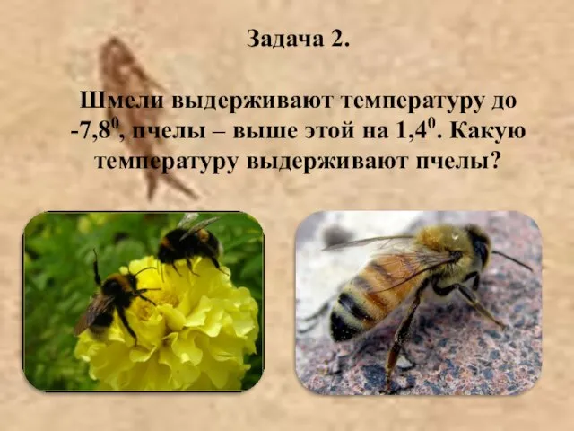 Задача 2. Шмели выдерживают температуру до -7,80, пчелы – выше этой