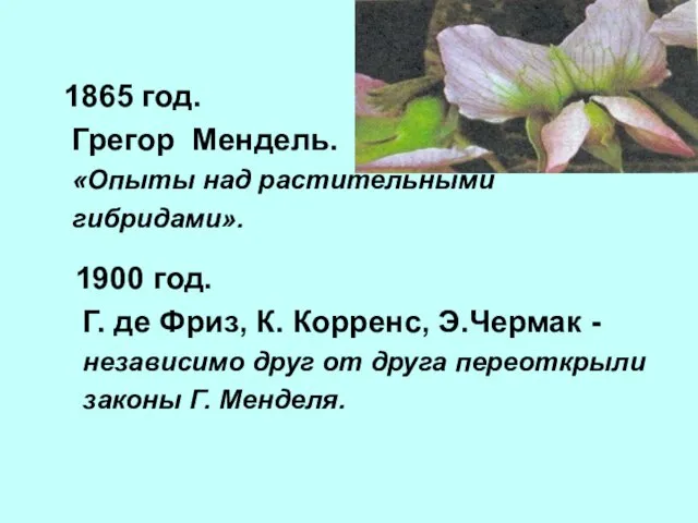 1865 год. Грегор Мендель. «Опыты над растительными гибридами». 1900 год. Г.