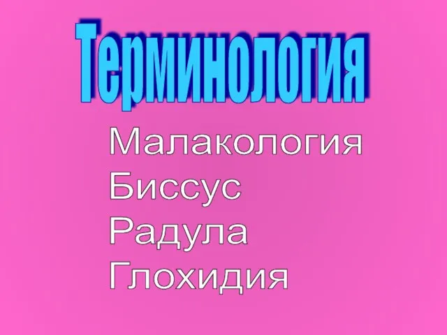 Малакология Биссус Радула Глохидия Терминология