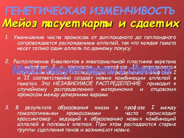 ГЕНЕТИЧЕСКАЯ ИЗМЕНЧИВОСТЬ 1. Уменьшение числа хромосом от диплоидного до гаплоидного сопровождается