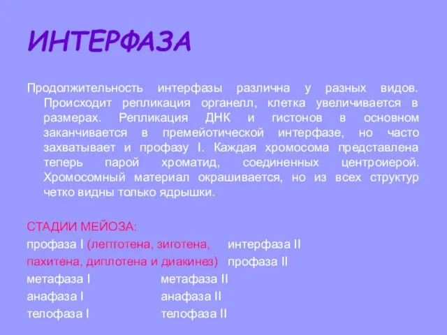 ИНТЕРФАЗА Продолжительность интерфазы различна у разных видов. Происходит репликация органелл, клетка