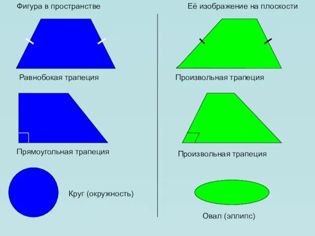 Фигура в пространстве Её изображение на плоскости Равнобокая трапеция Произвольная трапеция