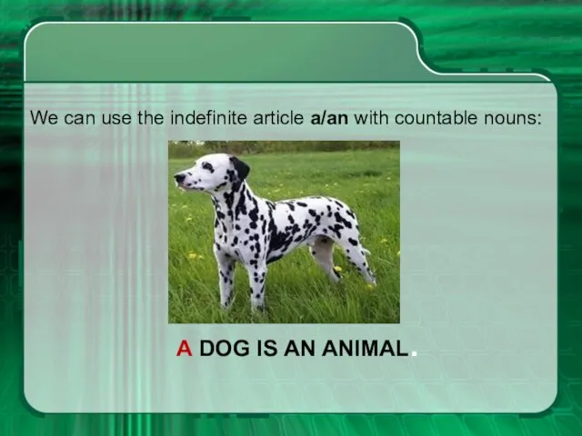 A DOG IS AN ANIMAL. We can use the indefinite article a/an with countable nouns: