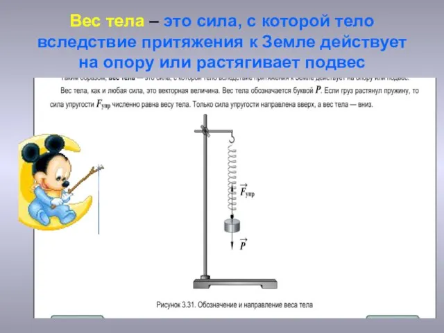 Вес тела – это сила, с которой тело вследствие притяжения к