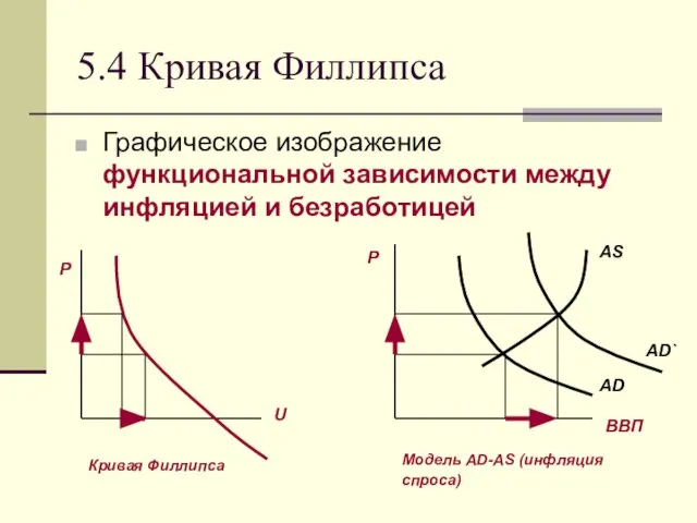 5.4 Кривая Филлипса Графическое изображение функциональной зависимости между инфляцией и безработицей