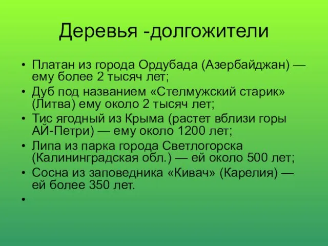 Деревья -долгожители Платан из города Ордубада (Азербайджан) — ему более 2