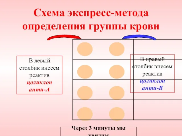 Схема экспресс-метода определения группы крови В левый столбик внесем реактив цоликлон