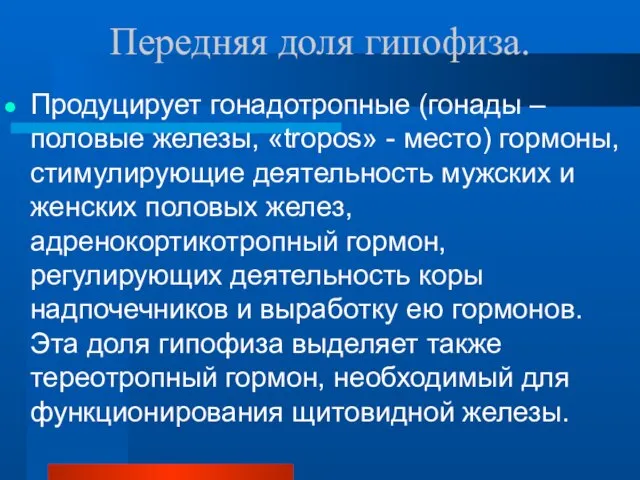 Передняя доля гипофиза. Продуцирует гонадотропные (гонады – половые железы, «tropos» -