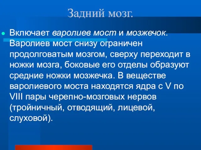 Задний мозг. Включает варолиев мост и мозжечок. Варолиев мост снизу ограничен