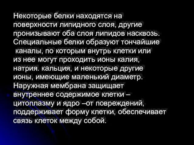 Некоторые белки находятся на поверхности липидного слоя, другие пронизывают оба слоя