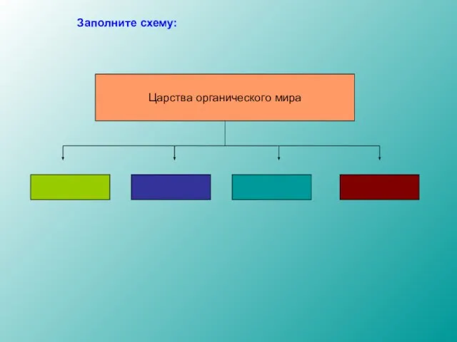 Царства органического мира Заполните схему: