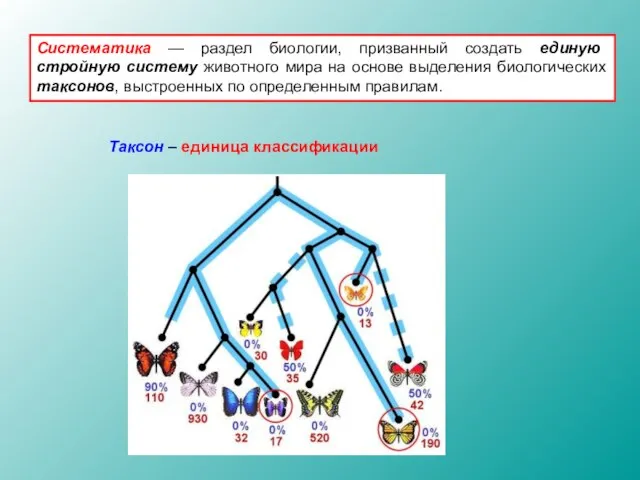 Систематика — раздел биологии, призванный создать единую стройную систему животного мира