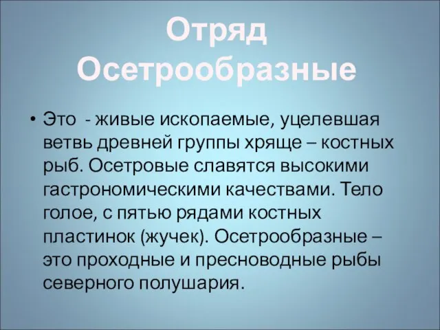 Это - живые ископаемые, уцелевшая ветвь древней группы хряще – костных