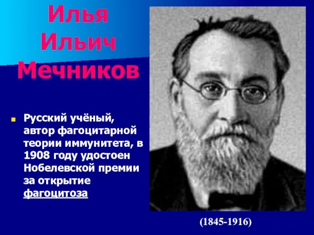 Илья Ильич Мечников Русский учёный, автор фагоцитарной теории иммунитета, в 1908