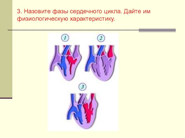 3. Назовите фазы сердечного цикла. Дайте им физиологическую характеристику.