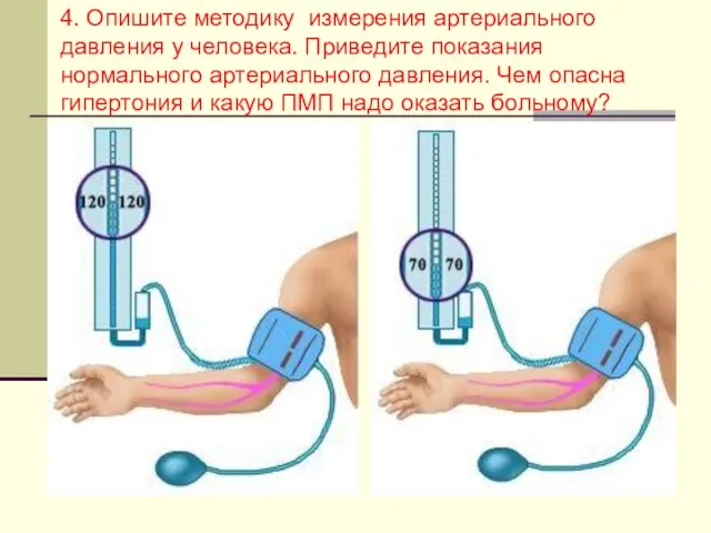 4. Опишите методику измерения артериального давления у человека. Приведите показания нормального