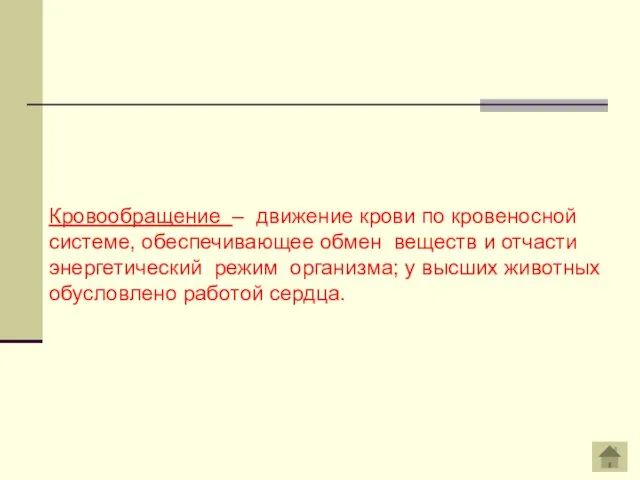 Кровообращение – движение крови по кровеносной системе, обеспечивающее обмен веществ и