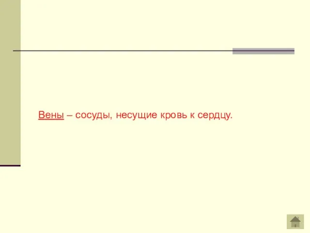 Вены – сосуды, несущие кровь к сердцу.