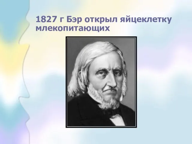 1827 г Бэр открыл яйцеклетку млекопитающих