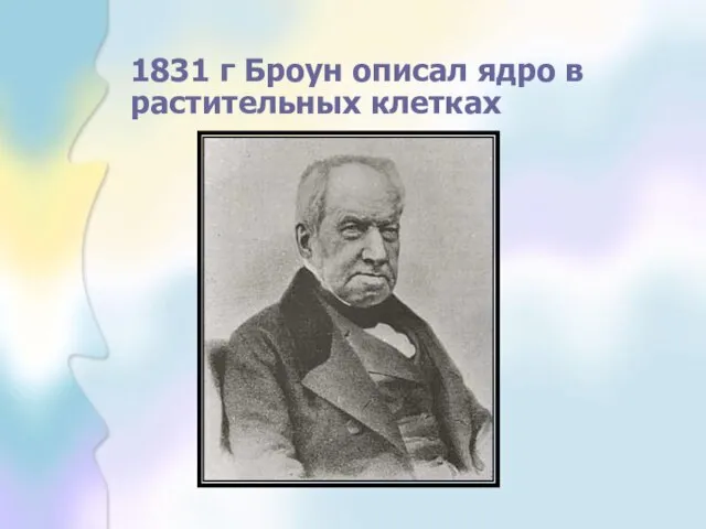 1831 г Броун описал ядро в растительных клетках