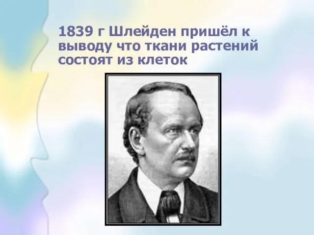 1839 г Шлейден пришёл к выводу что ткани растений состоят из клеток