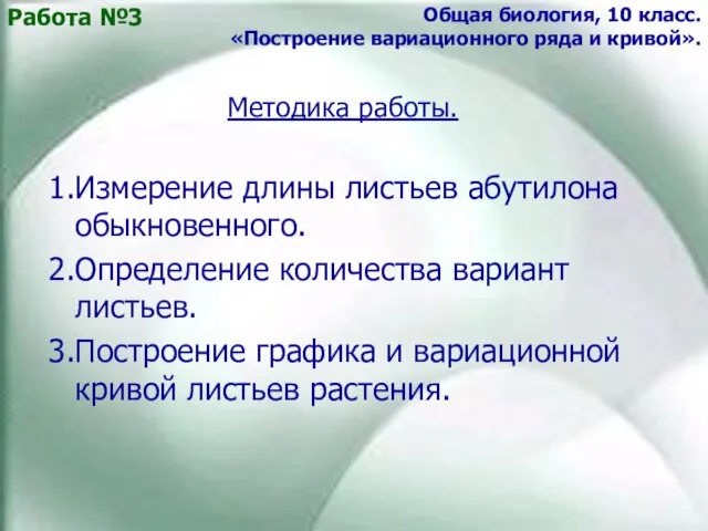 1.Измерение длины листьев абутилона обыкновенного. 2.Определение количества вариант листьев. 3.Построение графика