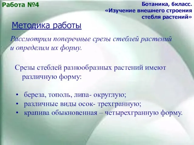 Работа №4 Ботаника, 6класс. «Изучение внешнего строения стебля растений» Методика работы