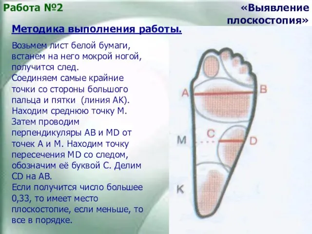 Работа №2 «Выявление плоскостопия» Методика выполнения работы. Возьмем лист белой бумаги,