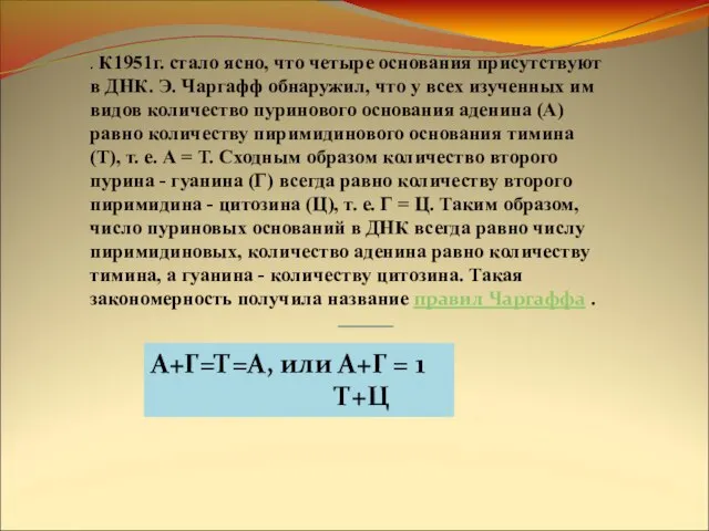 . К1951г. стало ясно, что четыре основания присутствуют в ДНК. Э.