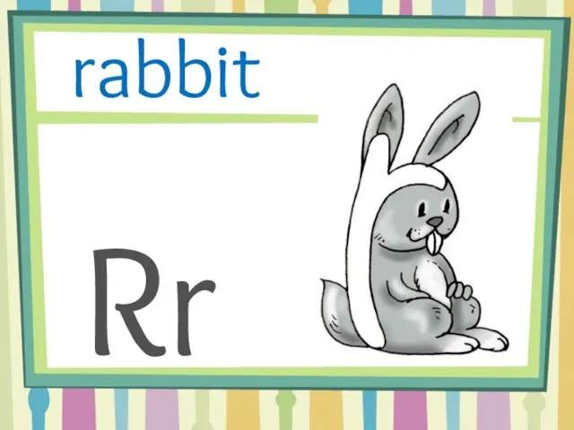 Rr rabbit