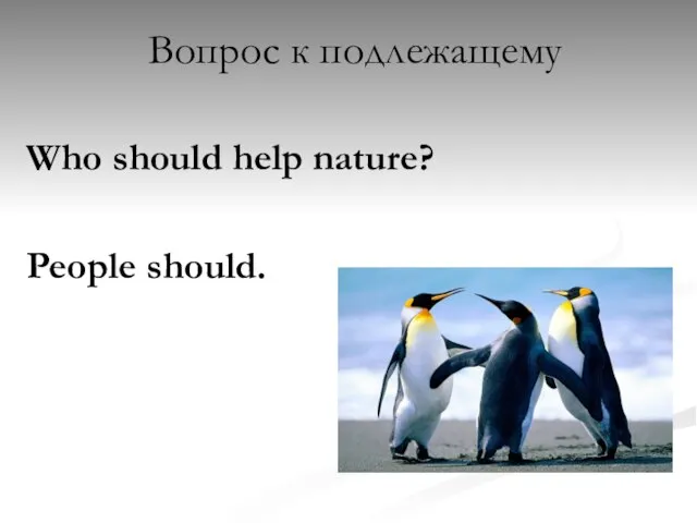 Вопрос к подлежащему Who should help nature? People should.