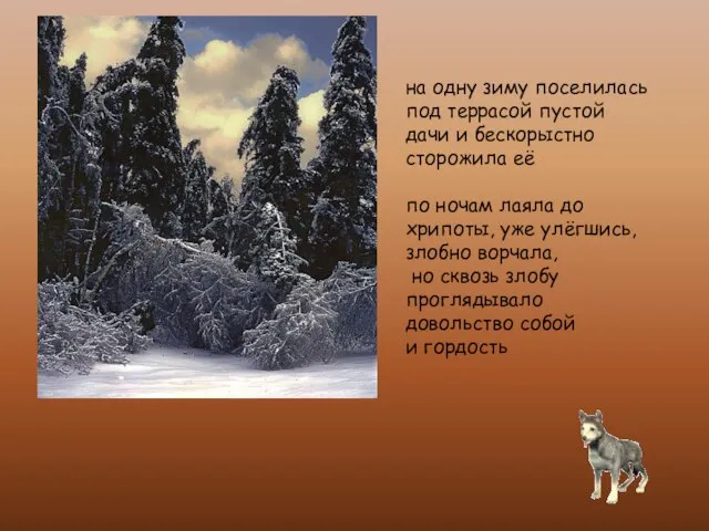 на одну зиму поселилась под террасой пустой дачи и бескорыстно сторожила